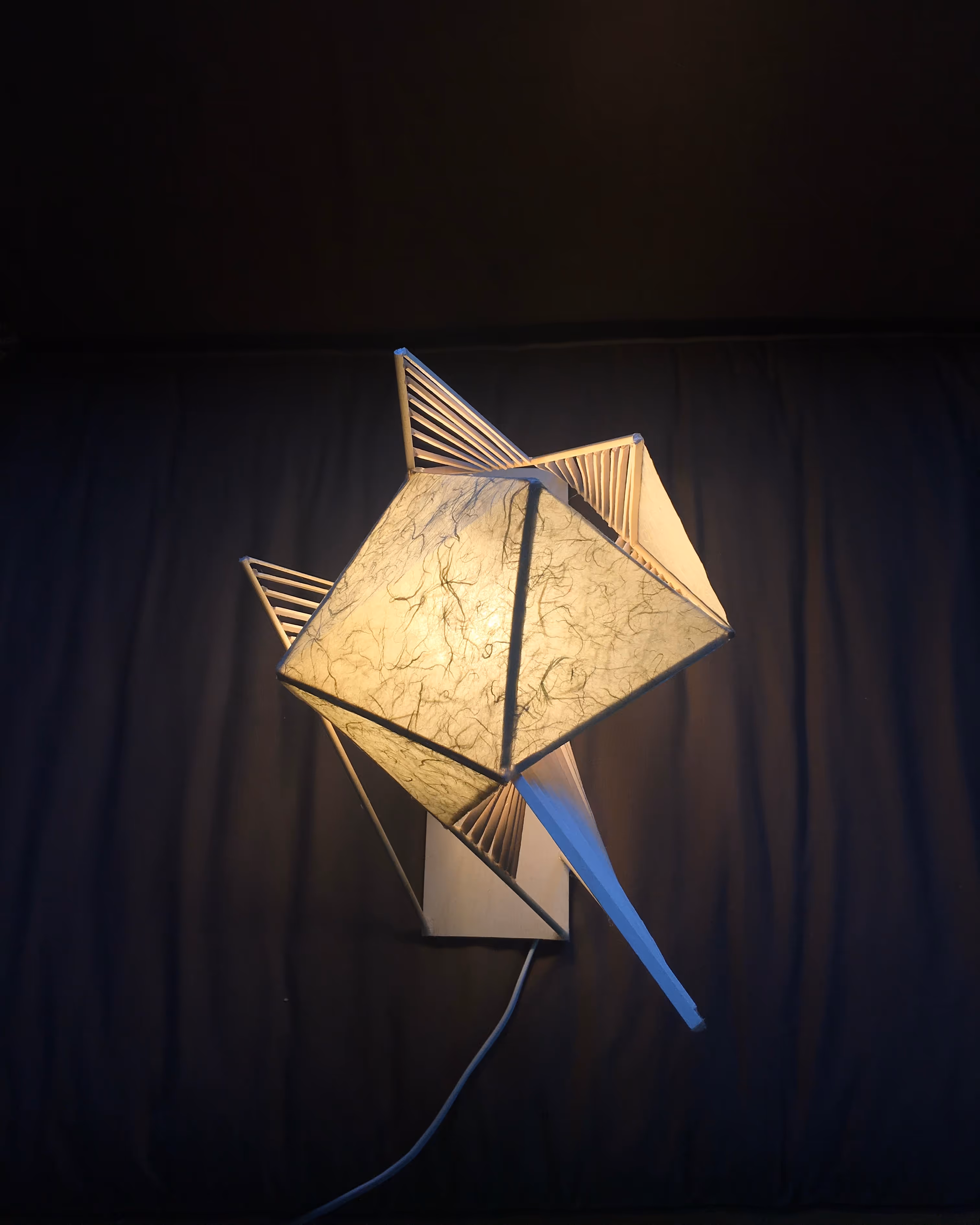 Portfolio Image